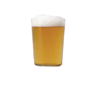 Gio 19oz Tumbler