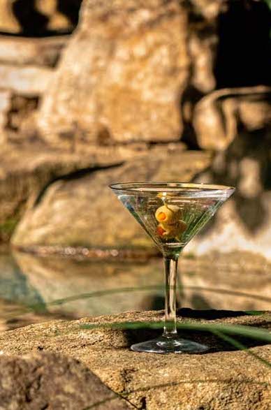 Revel 8oz Martini