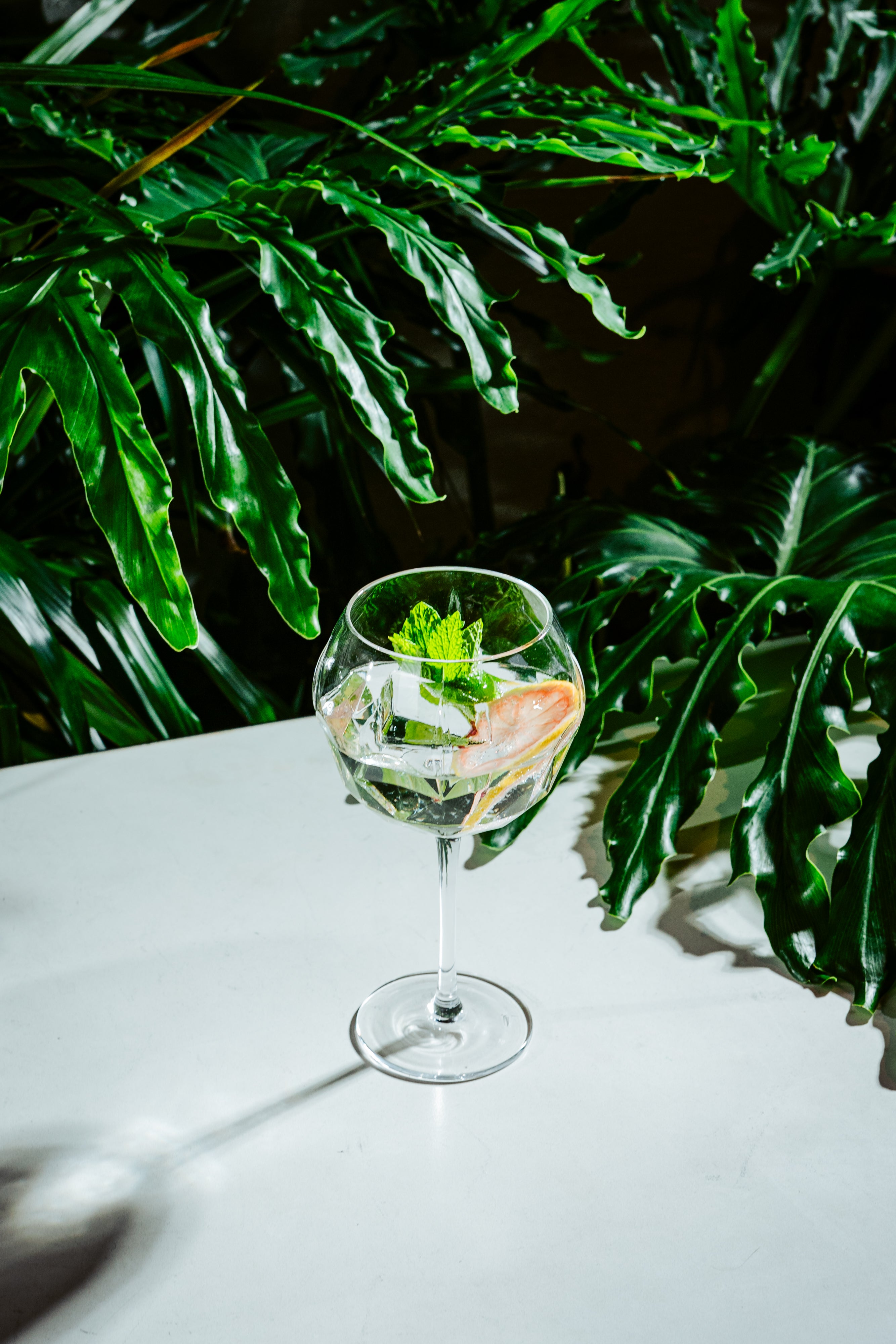 Altruist 19.5oz Gin & Tonic