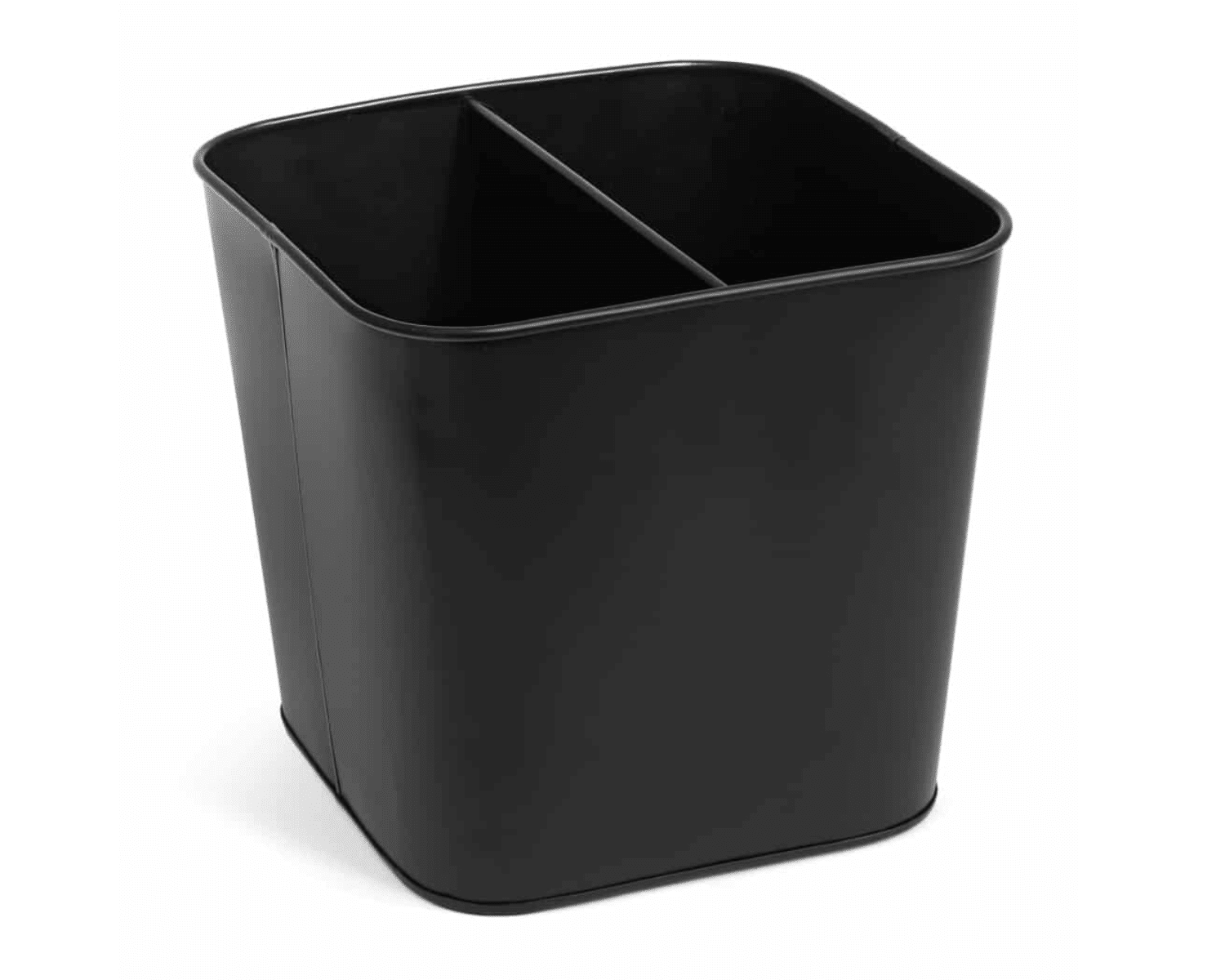 Austin Dual Recycle Bin
