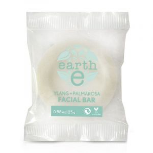 Earth E