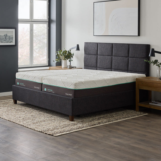Malouf Ascend Aeroflex Foam and Latex Hybrid 14" Mattress