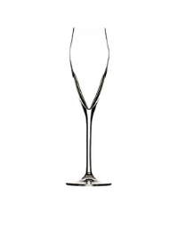 Evo 6oz Champagne