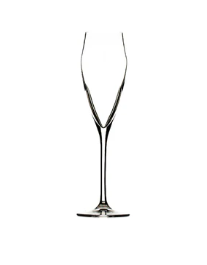 Evo 6oz Champagne