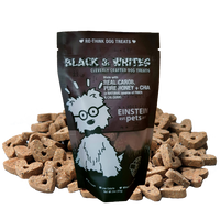 Einstein All-Natural Dog Treats Pouch