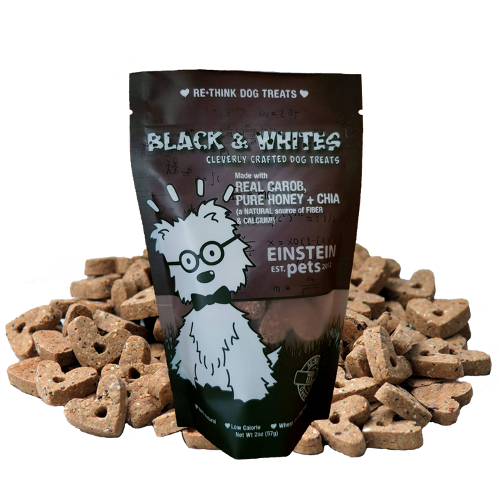 Einstein All-Natural Dog Treats Pouch