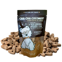 Einstein All-Natural Dog Treats Pouch