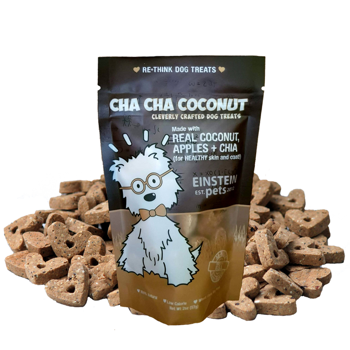 Einstein All-Natural Dog Treats Pouch