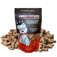 Einstein All-Natural Dog Treats Pouch
