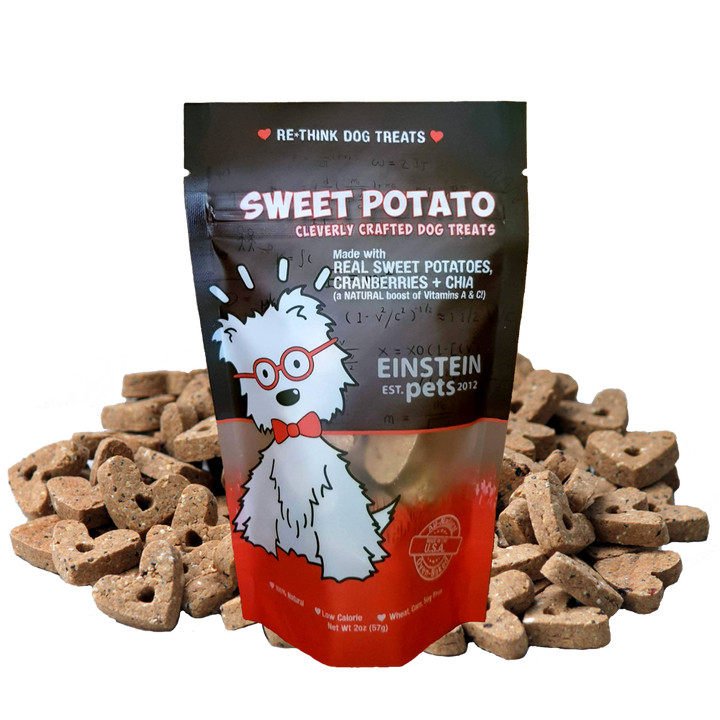 Einstein All-Natural Dog Treats Pouch