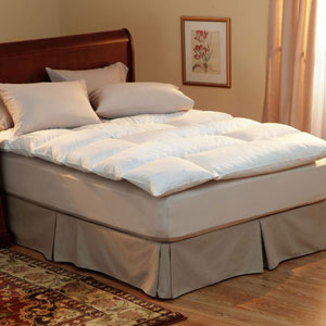 Boutique Feather Bed Down 100% Cotton, 233 Thread Count