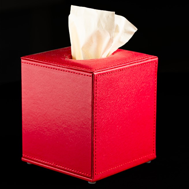 Boutique Tissue Box in Red Leatherette