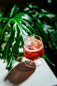 Altruist 18oz Snifter/Cocktail