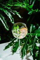 Altruist 19.5oz Gin & Tonic