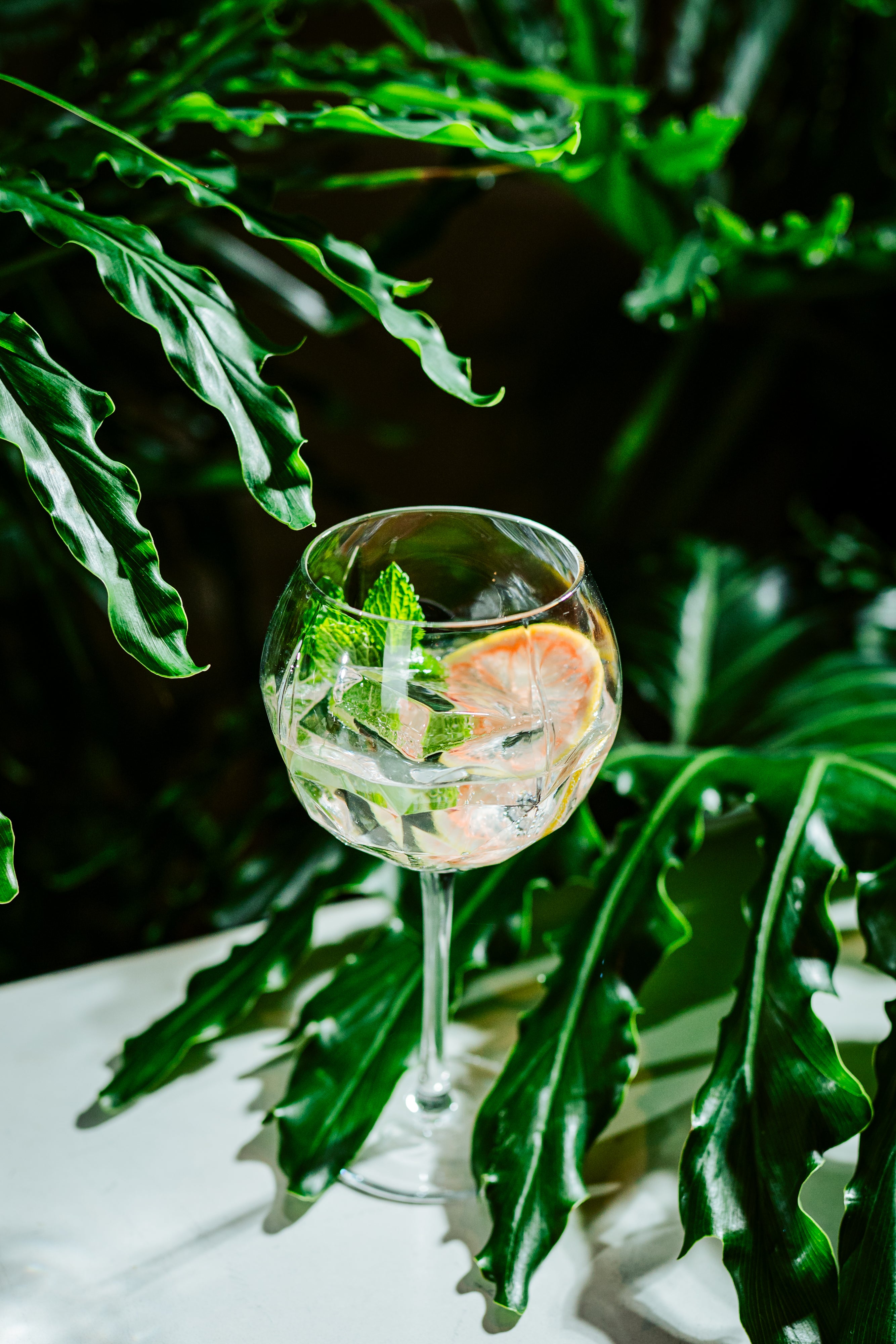 Altruist 19.5oz Gin & Tonic