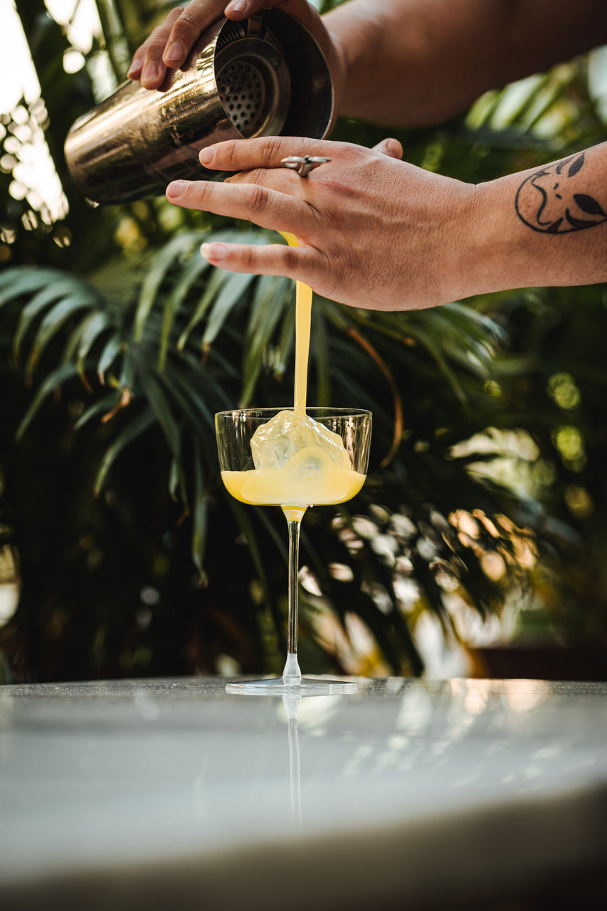 Borough 6.5oz Coupe