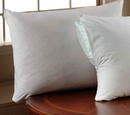 T200 100% Cotton Zippered Pillow Cover
