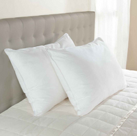 Enviroloft™ - Hypoallergenic, Premium Down-Alternative, Medium/Firm Support