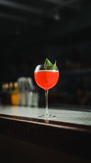 Hawthorne 20oz Gin & Tonic