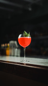 Hawthorne 20oz Gin & Tonic