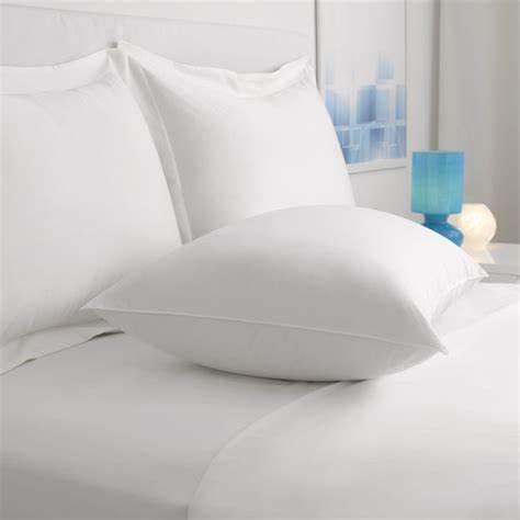 Everlasting Loft®  With Antimicrobial Cover
