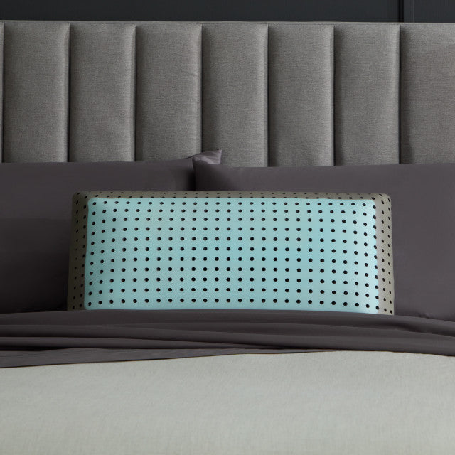 Cooling Carbon-Infused Memory Foam Pillow, 6" Loft, Gray/Blue