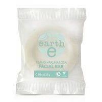 Earth E