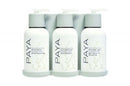 Paya EcoEclipse Dispenser