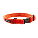 Dog Collars