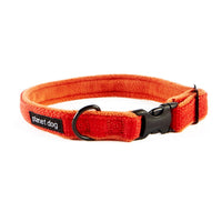 Dog Collars