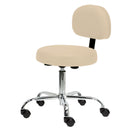 Pneumatic Rolling Stool w/ Back (19-26” / Standard height)