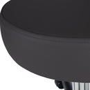 Pneumatic Rolling Stool w/ Back (19-26” / Standard height)