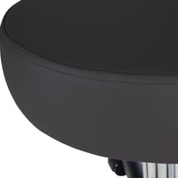 Pneumatic Rolling Stool w/ Back (19-26” / Standard height)