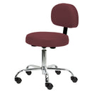 Pneumatic Rolling Stool w/ Back (19-26” / Standard height)