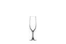 Syrah 5.75oz Champagne Flute
