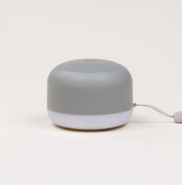 Travel Mini, Gray
